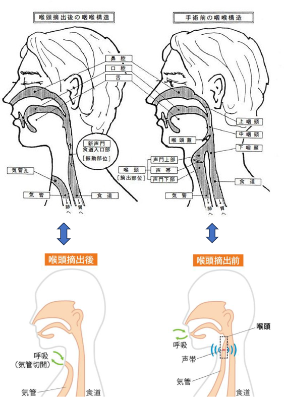 理事長のお写真